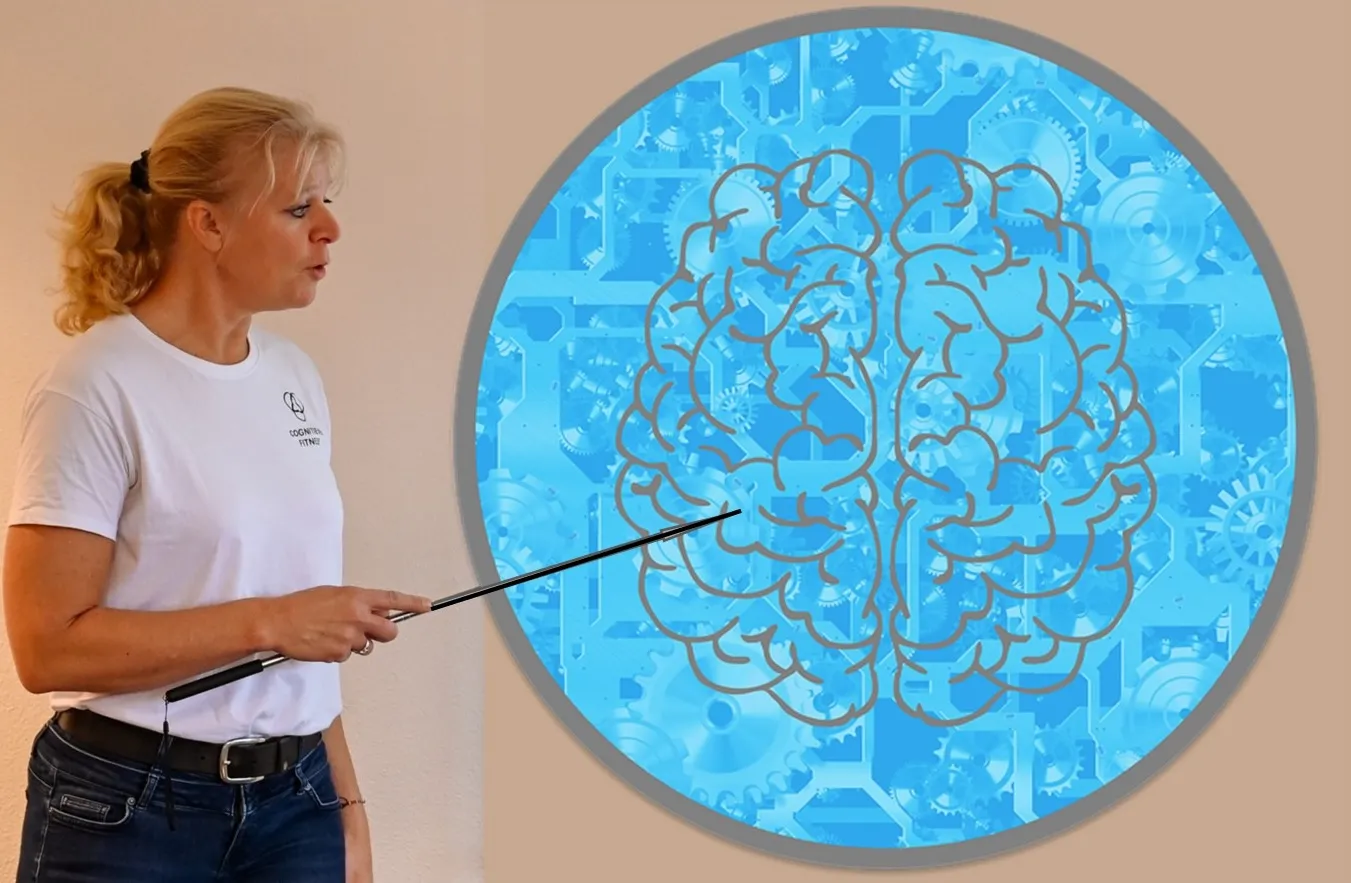 afbeelding voor workshop